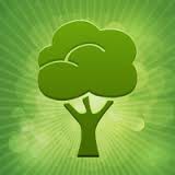 Emissioni atmosfera, Scarico acque reflue, Inquinamento acustico