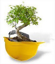 Il Responsabile del servizio di prevenzione e protezione. Professionista abilitato al ruolo di R.S.P.P. esterno 